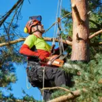 Bildschirmfoto 2026-03-20 um 15.45.00